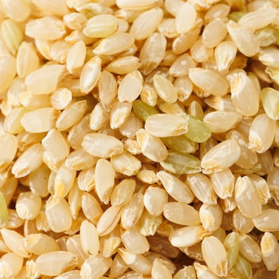 【突鉱土育ち】巨大胚芽米CoCoRo 5kg