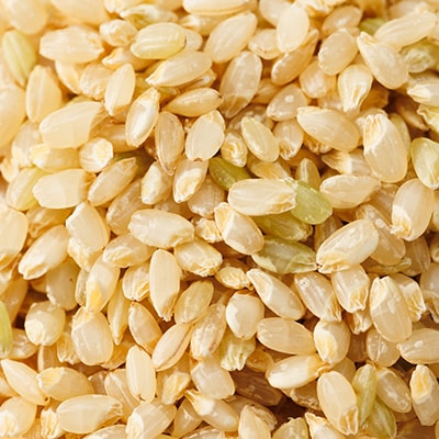 【突鉱土育ち】巨大胚芽米CoCoRo 30kg