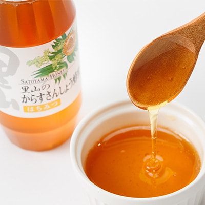 里山のからすさんしょう蜂蜜300g