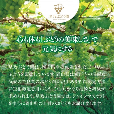 【先行受付】星乃シャインマスカット 数量限定 (岡山県産) 2房(1.3kg以上)【配送不可地域：離島・北海道・沖縄県】