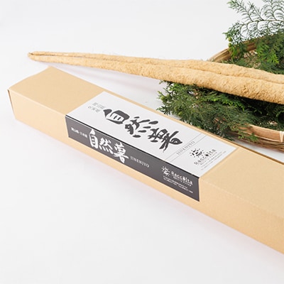 【先行受付9月上旬～順次】土臭さがくせになる濃厚な味と強い粘りの自然薯　800g～1kg化粧箱入り【配送不可地域：離島】