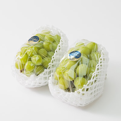 【先行受付】岡山県産 農家直送 朝摘みシャインマスカット2房セット (1.2～1.5kg)