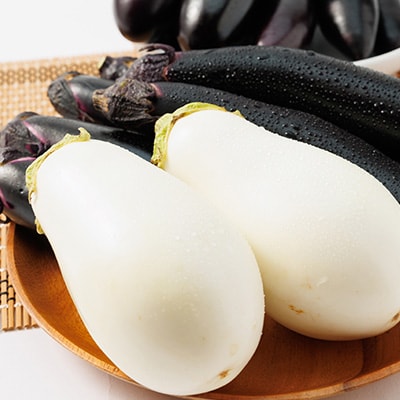 2024年発送　食卓の新しい定番!なす栽培歴50年の大ベテランが育てたなすの詰め合わせセット