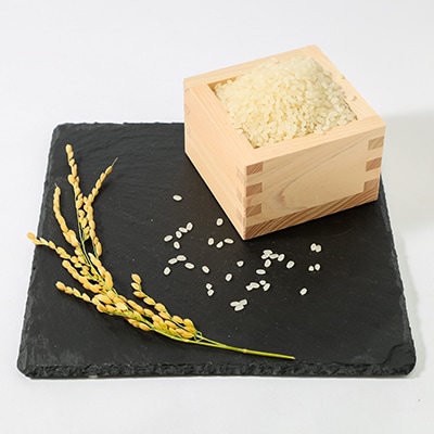 令和5年産 きぬむすめ 10kg【無洗米】牡蠣殻のミネラルで育ったお米