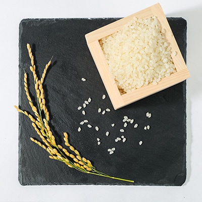 令和5年産 にじのきらめき 10kg【無洗米】牡蠣殻のミネラルで育ったお米