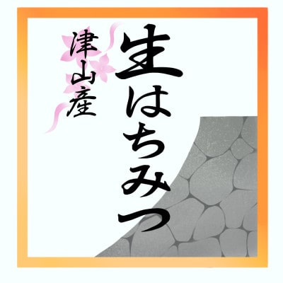 自然が生んだスーパーフード　生はちみつ　200g×3本(津山産)