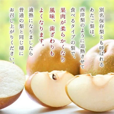 ご家庭用 岡山県産 あたご梨 1玉 1kg【配送不可地域：離島】