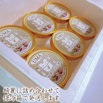 スイーツ専門店の作るこだわりアイスクリーム6個セット　バニラアイス　各90ml入り【配送不可地域：離島】