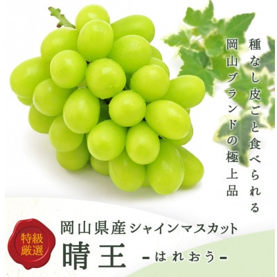 【先行受付】岡山県産詰合/ニューピオーネ2房・シャインマスカット晴王2房 各(1房480g以上)【配送不可地域：離島・北海道・沖縄県】