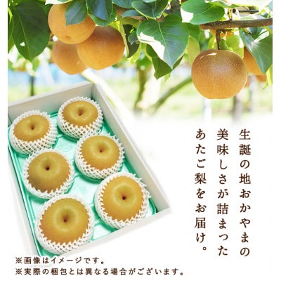岡山県産 あたご梨 4～7玉(約4kg) 化粧箱入り【配送不可地域：離島・北海道・沖縄県】