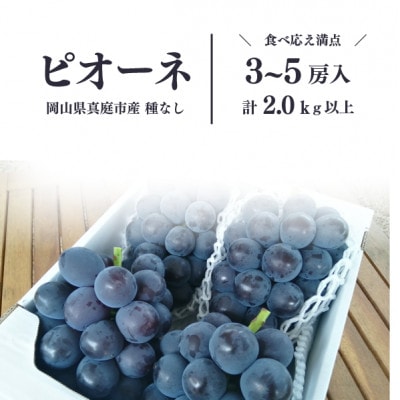 【2026年先行予約】ピオーネ 上級品3-5房入/計2kg～(岡山県産)【配送不可地域：離島】