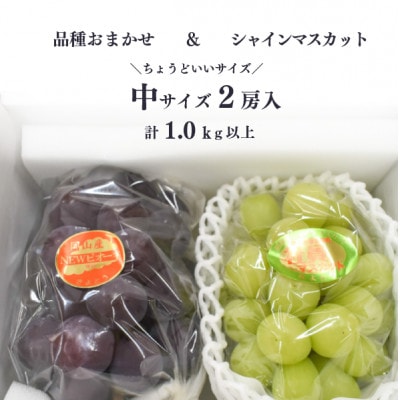 【2026年先行予約】シャインマスカット＆生産者いちおし葡萄 2房合わせて/約1kg～(岡山県産)【配送不可地域：離島】