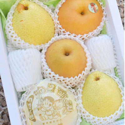 【2026年先行予約】梨好きのための、梨2-3種 食べ比べ 上級品 5-7玉(岡山県産)