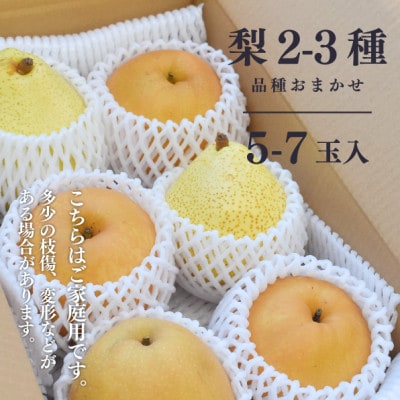 【2026年先行予約】梨好きのための、梨2-3食べ比べ ご家庭用 5-7玉(岡山県産)