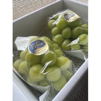 【先行予約 2026年発送】岡山県産　シャインマスカット　2房(合計約1kg)【配送不可地域：離島】