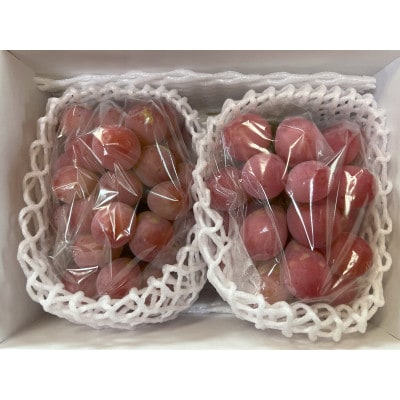 【先行予約 2026年発送】岡山県産　クイーンニーナ 2房 合計約900g【配送不可地域：離島】