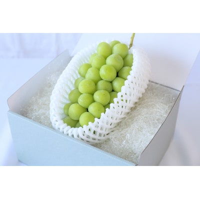 【11月-1月発送】氷温貯蔵マスカット冬姫(1房)【配送不可地域：離島】