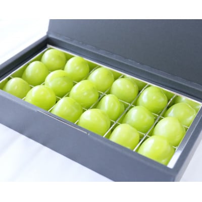 【11月-3月発送】氷温貯蔵マスカット冬姫(18粒)【配送不可地域：離島】