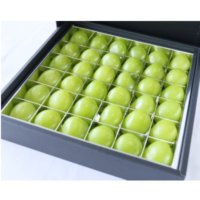 【11月-3月発送】氷温貯蔵マスカット冬姫(36粒)【配送不可地域：離島】