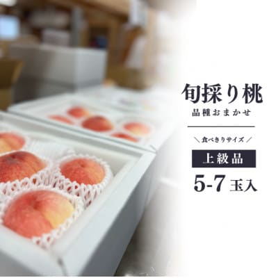 【2026年先行予約】旬採り桃の上級品5-7玉入(岡山県産)【配送不可地域：離島】