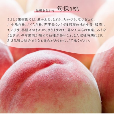 【2026年先行予約】珍しい品種の桃 もも好きのあなたに 旬採り桃 ご家庭用/5-7玉(岡山県産)【配送不可地域：離島】