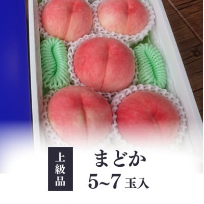【2026年先行予約】上品な肉質 まどか 白桃 上級品 5-7玉入(岡山県産)【配送不可地域：離島】