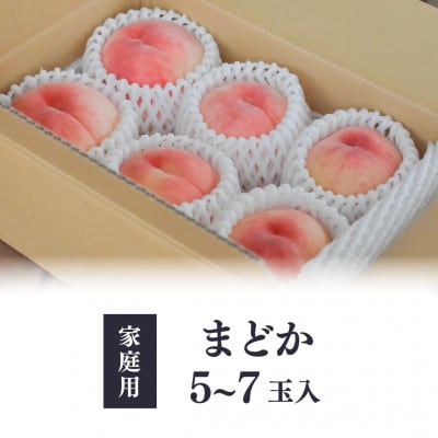【2026年先行予約】上品な肉質 まどか 白桃 ご家庭用 5-7玉入(岡山県産)【配送不可地域：離島】