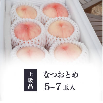 【2026年先行予約】乙女のような可愛い甘い桃「なつおとめ」上級品 5-7玉入(岡山県産)【配送不可地域：離島】