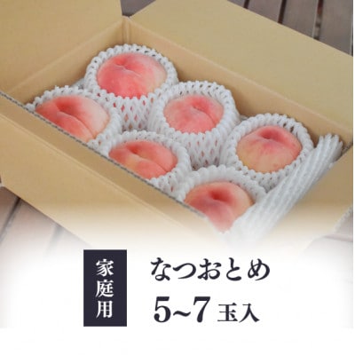 【2026年先行予約】乙女のような可愛い甘い桃  「なつおとめ」家庭用 5-7玉入(岡山県産)【配送不可地域：離島】