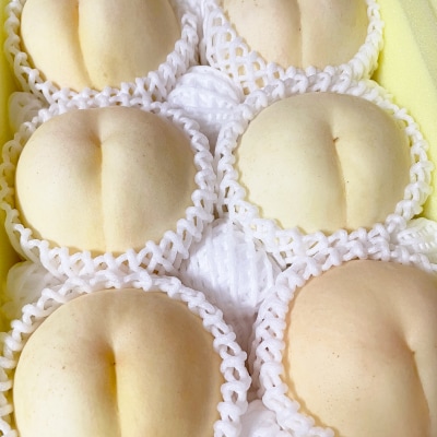 【2025年先行予約】2025年10月上旬頃より発送予定・希少品種の岡山の白桃・CX(2kg箱)【配送不可地域：離島】