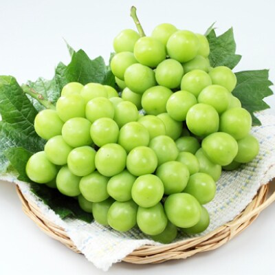 岡山県産シャインマスカット大房【2026年9月末以降順次発送】【配送不可地域：離島】