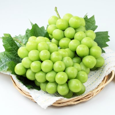 シャインマスカット＆クイーンニーナ【2026年9月中旬以降順次発送】【配送不可地域：離島】