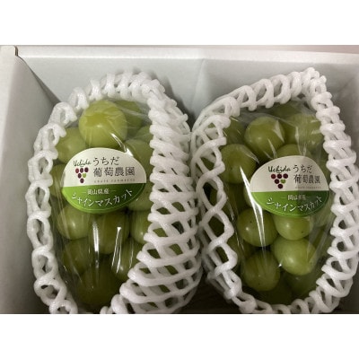 【2026年発送】朝採りシャインマスカット2房入(約1.2kg)【配送不可地域：離島】