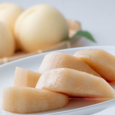 【先行受付】ご家庭用　白桃(晩生種)　 約1.5kg(5～6玉)【配送不可地域：離島】