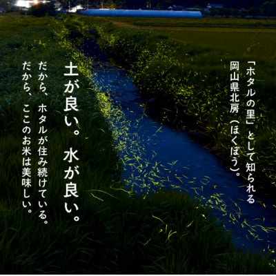 【令和7年産】きぬむすめ 岡山ほたる米 精米5kg (岡山県産)新米 産地直送 《数量限定》