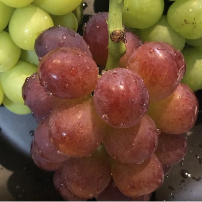 【2026年度発送分】希少品種ブドウわけありマスカットビオレ2kg【配送不可地域：離島・北海道・沖縄県】
