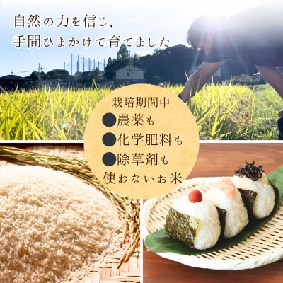 2025年新米【コシヒカリ 玄米5kg】|-comeback未来ce-