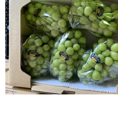 新鮮・朝採り後即出荷!岡山県　吉備高原産シャインマスカット　5kg(7～10房)ご贈答品