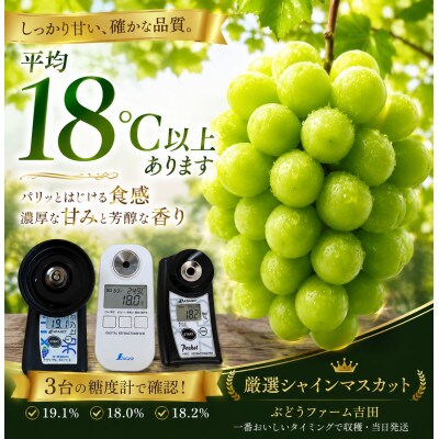 産地直送!【岡山県産・厳選品2房】シャインマスカット(計1.2kg)【配送不可地域：離島】