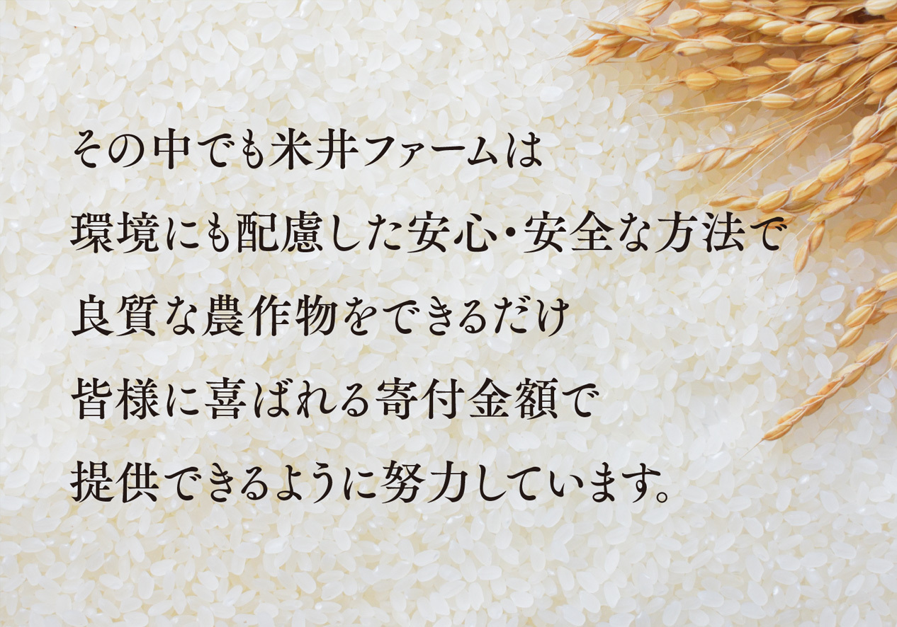 おいしいお米(5kg) 無洗米 リピーター続出 きぬむすめ