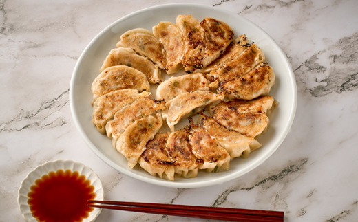 津山黒豚手作り冷凍生餃子(60個セット)【配送不可地域：離島】