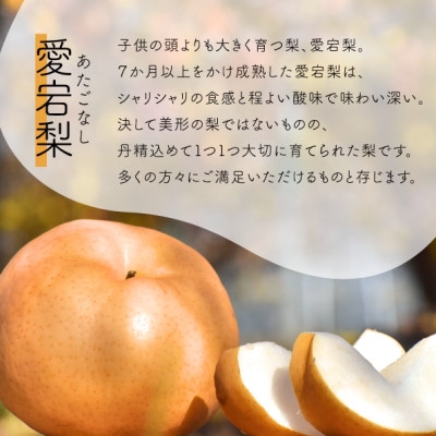 【2025年発送】あたご梨 上級品 3-6玉入(岡山県産)  お歳暮やギフトにもおすすめ