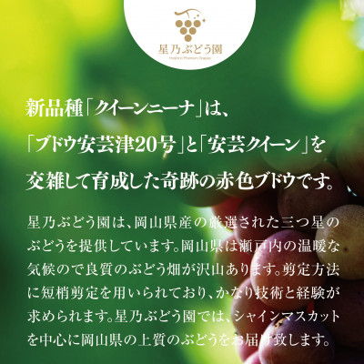 先行受付【三つ星ブランド】星乃クイーンニーナ 数量限定 3房～5房(1.7kg以上)【配送不可地域：離島・北海道・沖縄県】