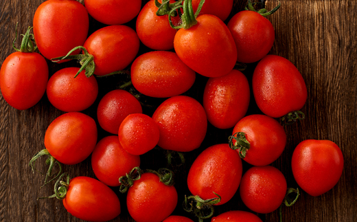 シャイントマト　1キロ 500g×2袋【配送不可地域：離島・北海道・沖縄県・東北・関東・信越、北陸】