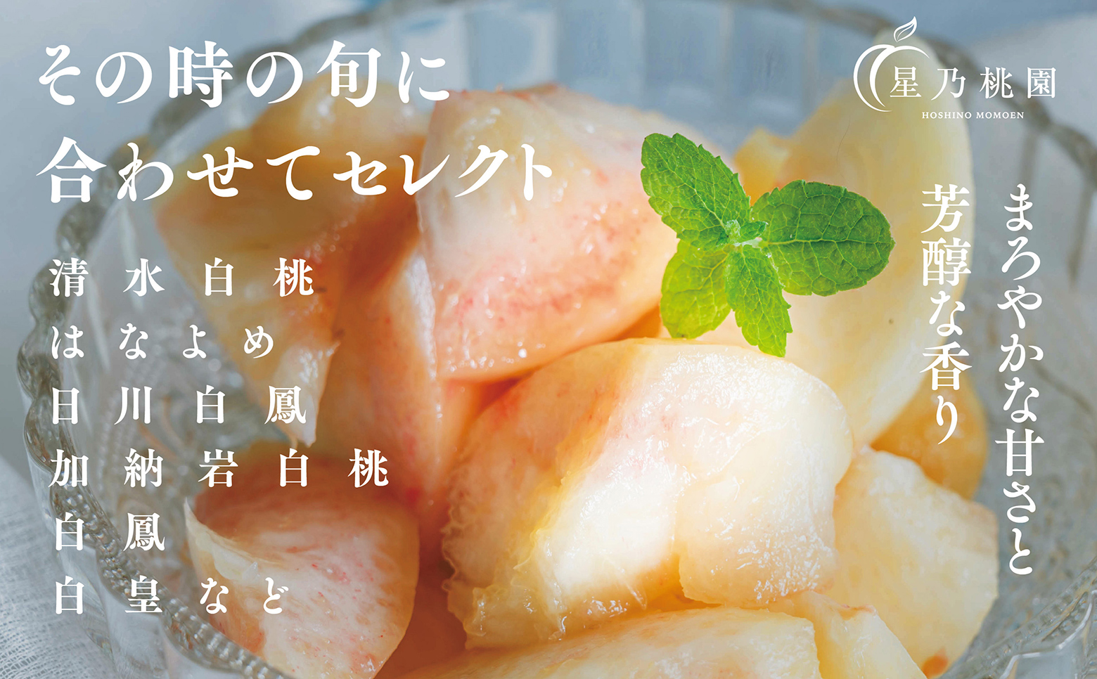 先行受付【星乃白桃】岡山県の桃園からお届けする三つ星の桃 1.2kg (4～5玉)【配送不可地域：離島・北海道・沖縄県】