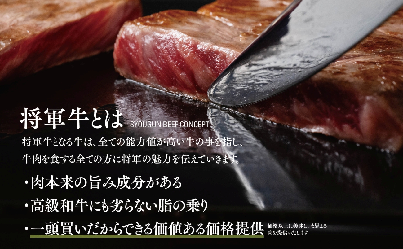 【将軍牛】特選ロースステーキ 500g【配送不可地域：離島・北海道・沖縄県】