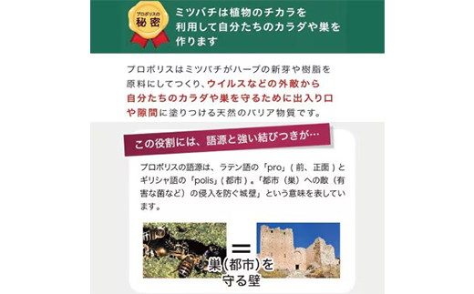 【毎月定期便】プロポリス粒 (486)全12回