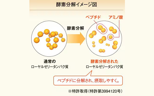 【毎月定期便】酵素分解ローヤルゼリー CoQ10(5935)全12回