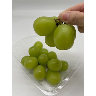 【発送月固定定期便】岡山県産 フルーツ定期便〈お一人様向け〉全6回【配送不可地域：離島・北海道・沖縄県】