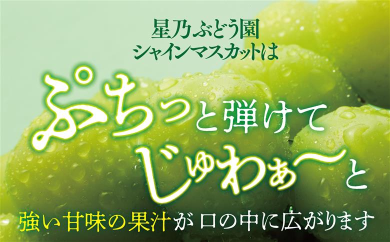 【発送月固定定期便】【人気セット】星乃フルーツ 桃+シャインマスカット全2回【配送不可地域：離島・北海道・沖縄県】